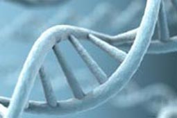 CC在线压力测试